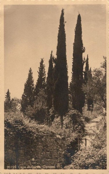 Lago di Garda. Cipressi Vorderseite