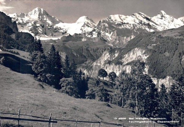 Bei Wengen. Breithorn, Tschingelhorn u. Gspaltenhorn Vorderseite