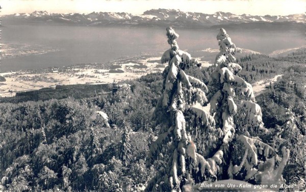 Blick vom Uto-Kulm gegen die Alpen Vorderseite