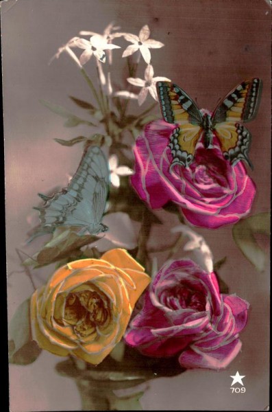 Schmetterlinge auf Blumen Vorderseite