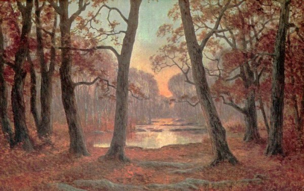 Sunset in the forest, Schulz Vorderseite