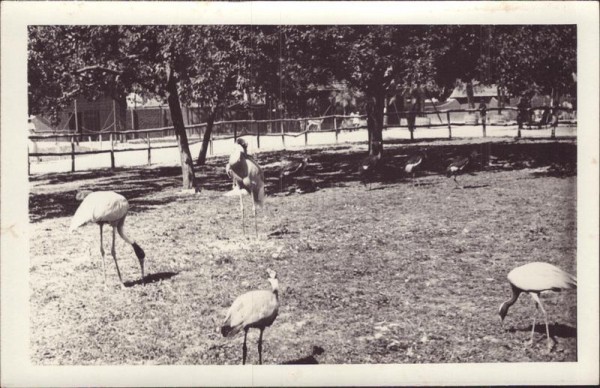 Tiere im Tierpark Vorderseite