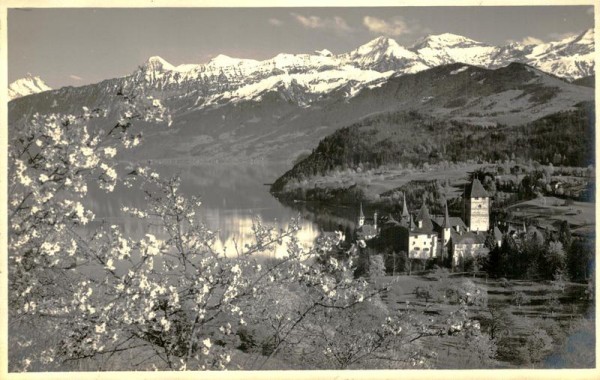 Spiez am Thunersee Vorderseite