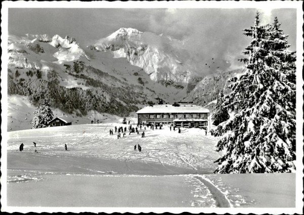 Obertoggenburg Vorderseite