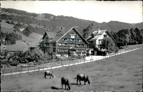 Lutenwil Nesslau, Töchterbund Ferienheim "Heimetli" Vorderseite