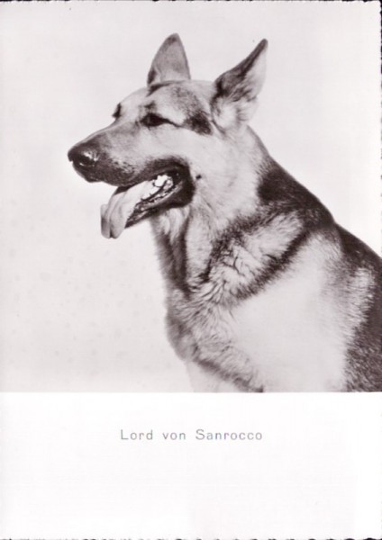 Lord von Sanrocco