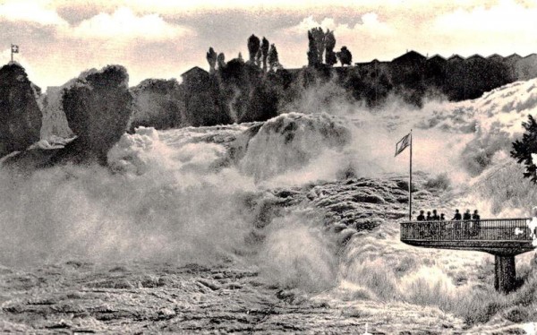 Rheinfall mit Fischetz Vorderseite