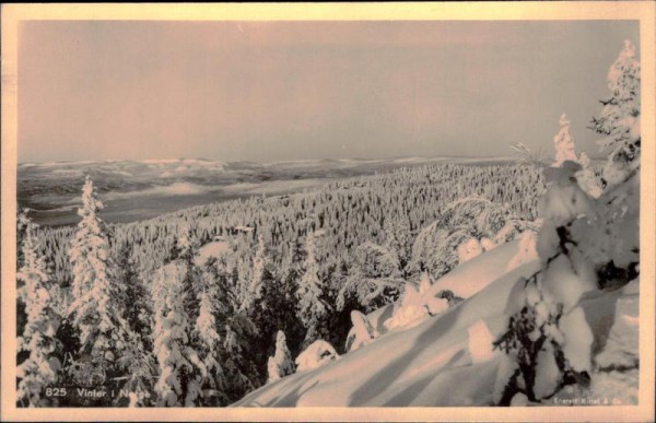 Winter in Norwegen Vorderseite