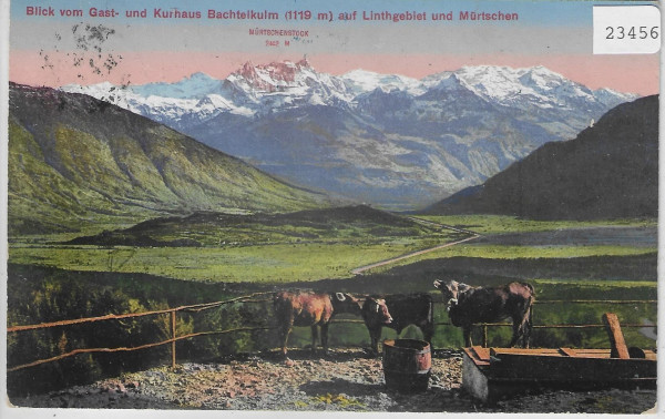 Blick vom Gast- u. Kurhaus Bachtelkulm auf Linthgebiet und Mürtschen
