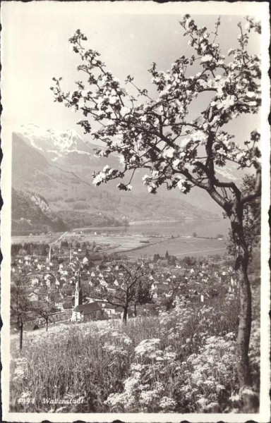 Walenstadt Vorderseite