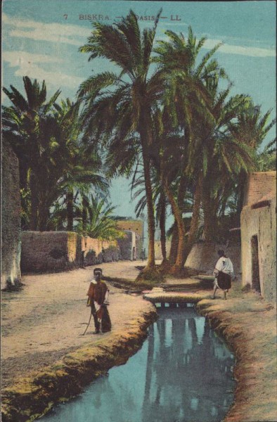 Biskra, Oasis, Algerien