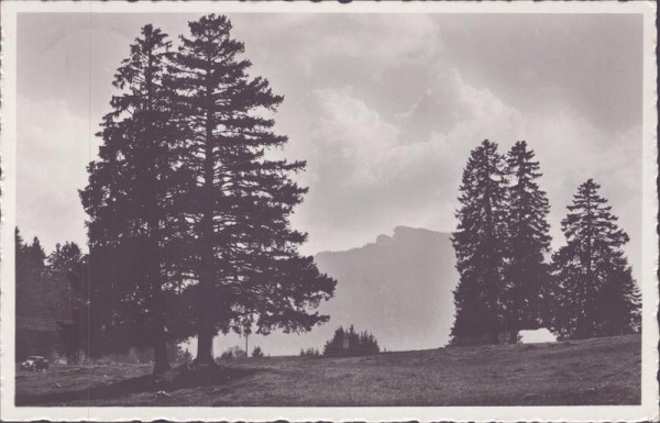 Aux Rasses et les aiguilles de Baulmes Vorderseite