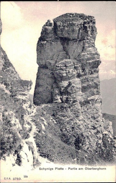 Schynige Platte - Partie am Oberberghorn Vorderseite
