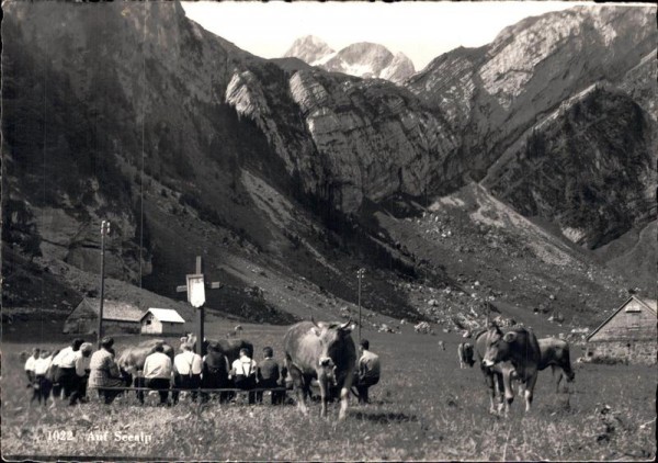 Auf Seealp Vorderseite