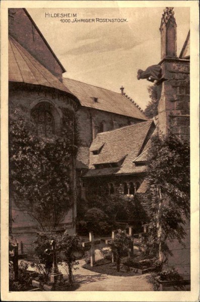 Hildesheim/1000 Jähriger Rosenstock. Vorderseite