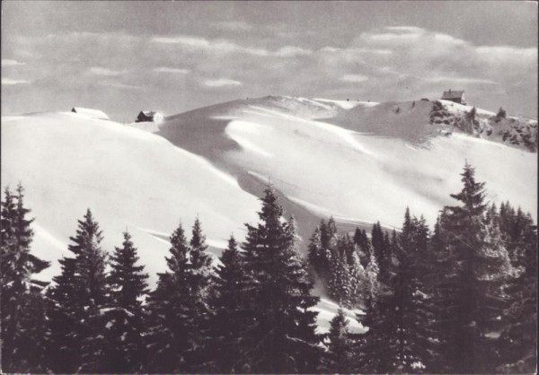 Tanzboden Vorderseite