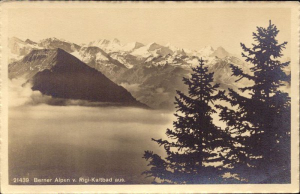 Berner Alpen vom Rigi-Kaltbad aus