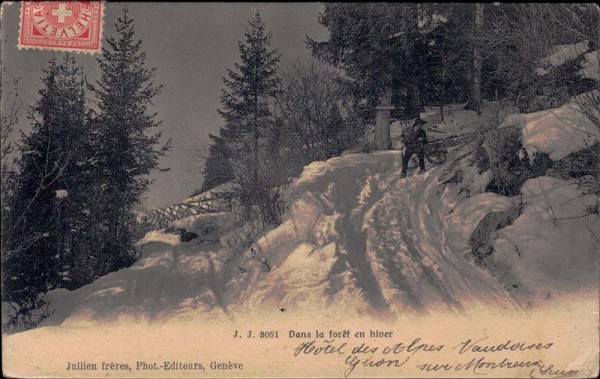 dans le forêt en hiver Vorderseite