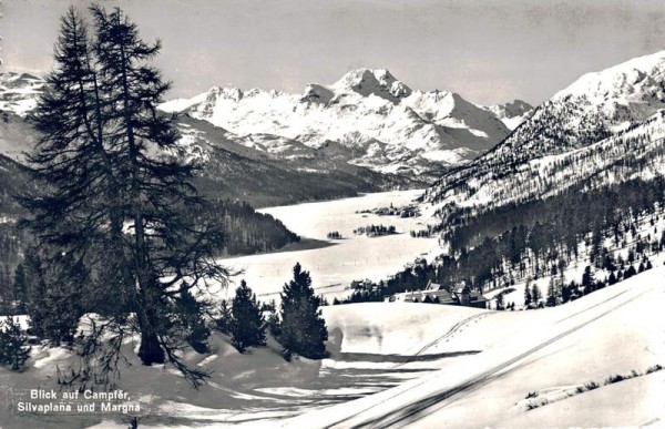 Blick auf Campfèr, Silvaplana und Margna Vorderseite