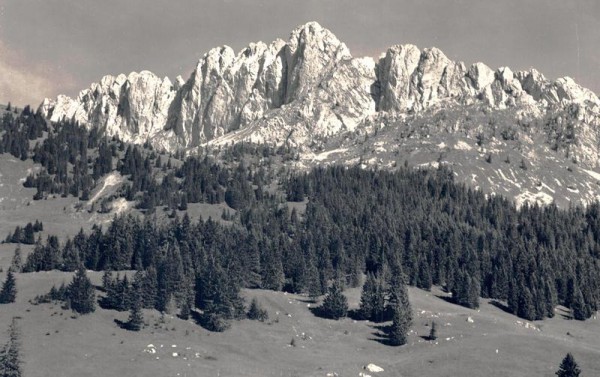 Sattelspitzen Vorderseite