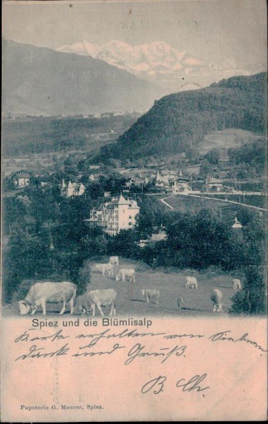 Spiez und die Blümlisalp Vorderseite
