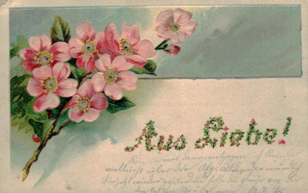 Aus Liebe! Vorderseite
