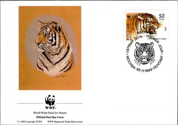 Sibirischer Tiger Vorderseite