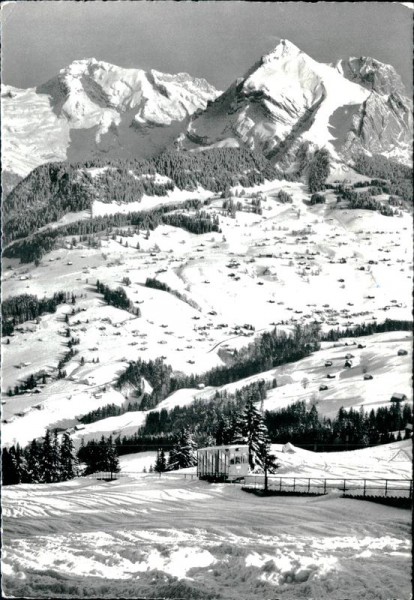 Obertoggenburg Vorderseite