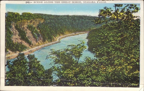 Scene along the great gorge, Niagara Falls