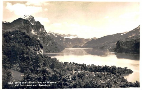Blick vom Jakobstraum ob Weesen auf Leistkamm und Alvierkette Vorderseite