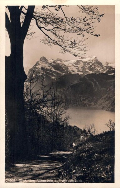 Blick vom Axenstein auf Urirotstock Vorderseite