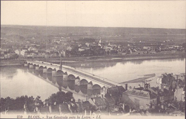Blois, Vue Générale