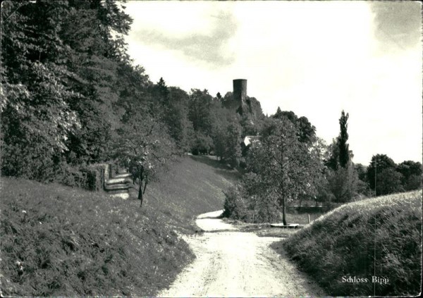 Schloss Bipp Vorderseite