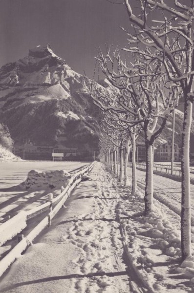 Landschaft bei Engelburg, Hahnen Vorderseite