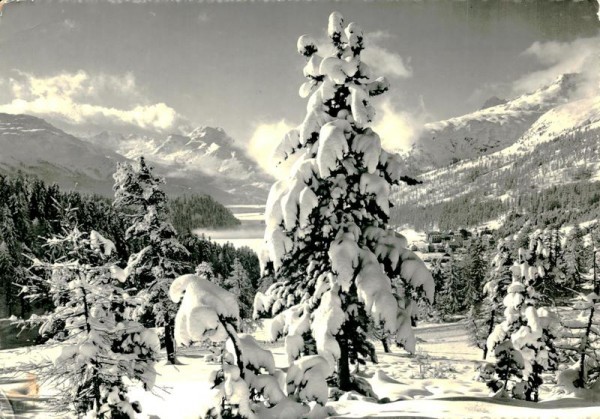 Blick von Suvretta nach dem Oberengadin Vorderseite