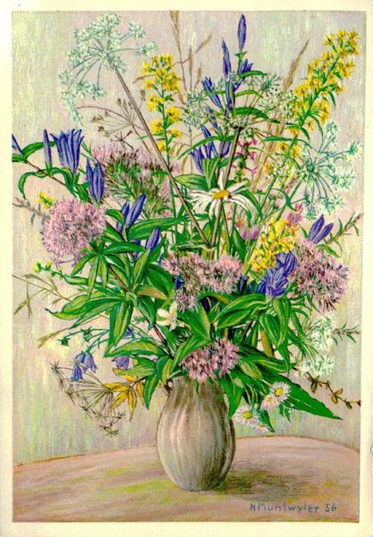 Waldblumen, Hermann Muntwyler Vorderseite