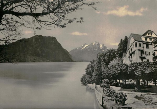Weggis, Hotel Hertenstein Vorderseite