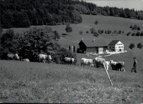 unbekannter Bauernhof Vorderseite