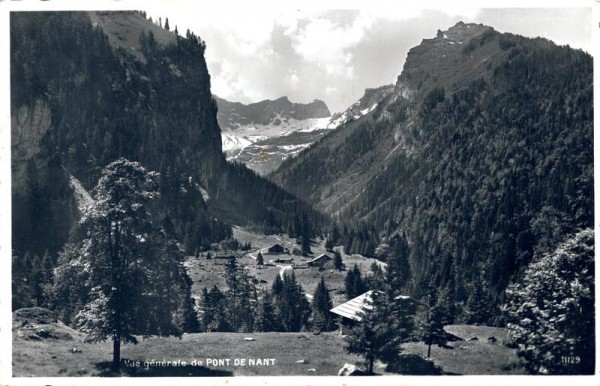 Vue générale de Pont de Nant Vorderseite