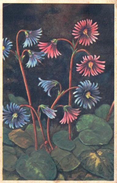 Blumengarten Vorderseite