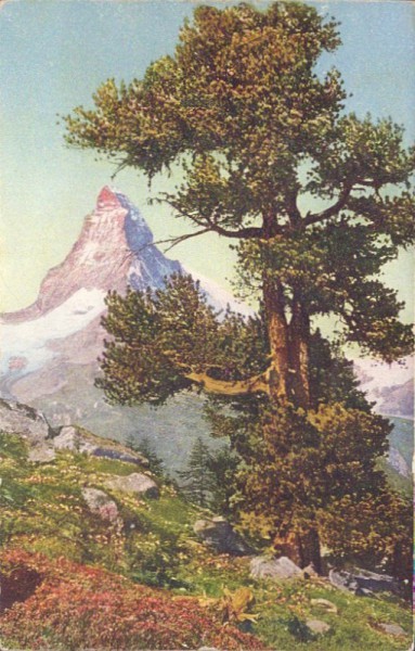 Riffelalp und Matterhorn