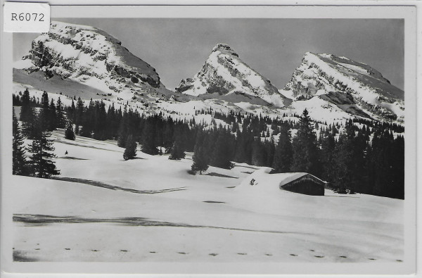 Sellenmatt mit Churfirsten im Winter en hiver
