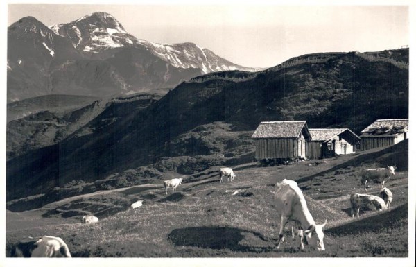 Grosse Scheidegg Vorderseite