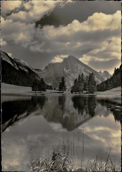 Gräppelensee mit Schafberg (Obertoggenburg) Vorderseite