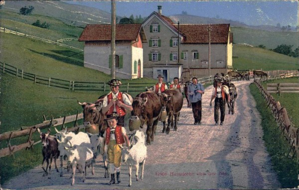 Heimkehr von der Alp Vorderseite