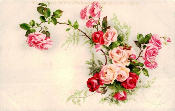 Rosenzweig Vorderseite