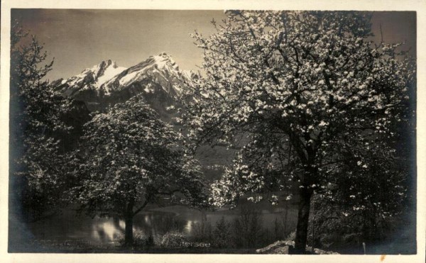 Frühling am Vierwaldstättersee Vorderseite