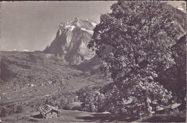 Grindelwald mit Wetterhorn