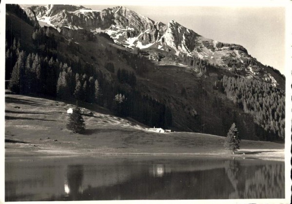 Kurgebiet Obertoggenburg. Der Gräppelensee Vorderseite