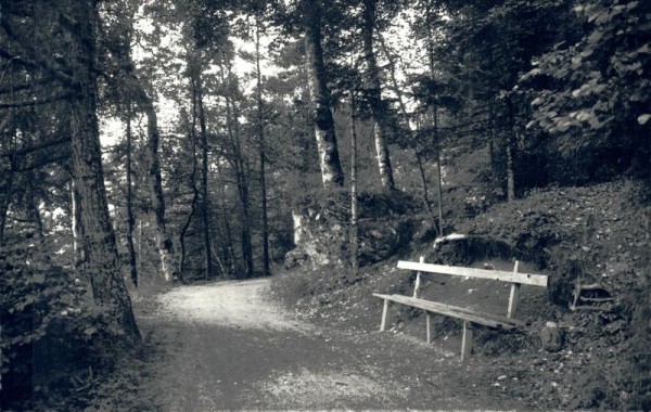 Le Chemin des Dames, entre Les Marécottes et Les Granges Vorderseite